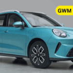 GWM Ora Cat